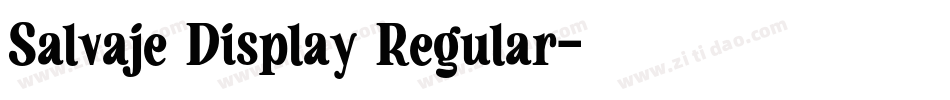 Salvaje Display Regular字体转换